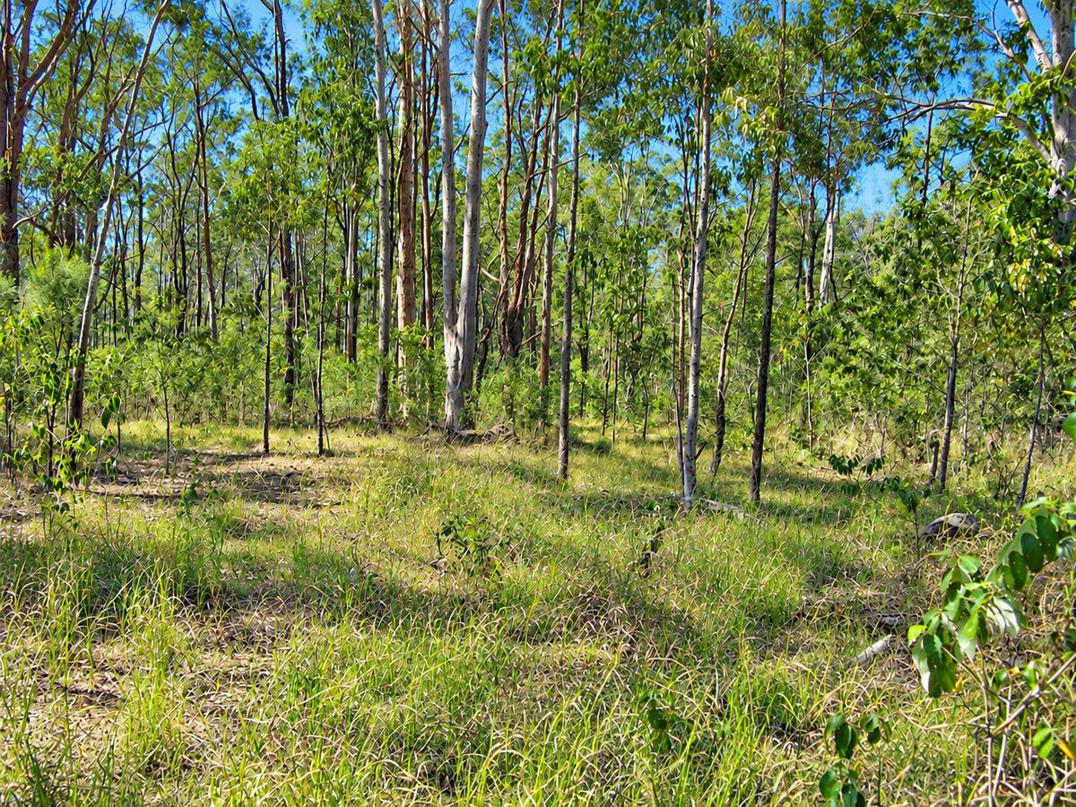 91 Jenny Lind Lane, Tabulam For Sale by Farmbuy.com - image 12