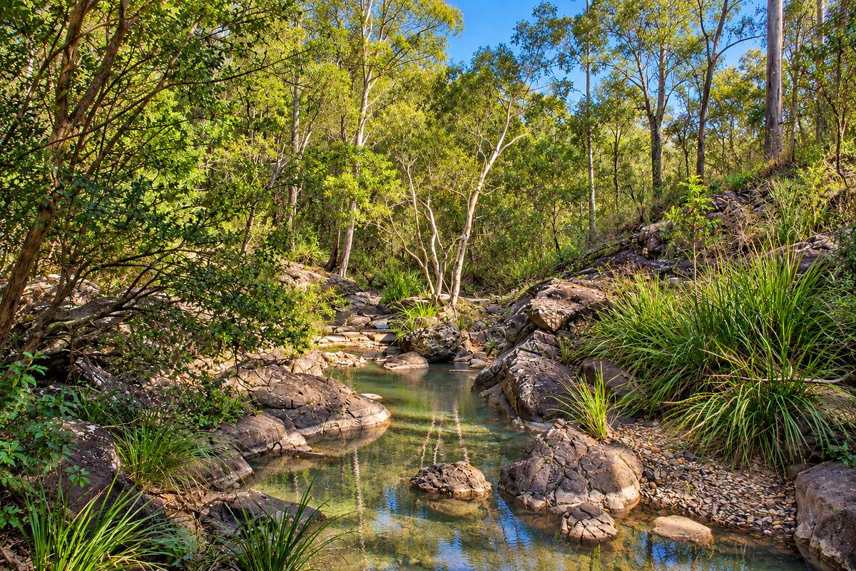 91 Jenny Lind Lane, Tabulam For Sale by Farmbuy.com - image 4