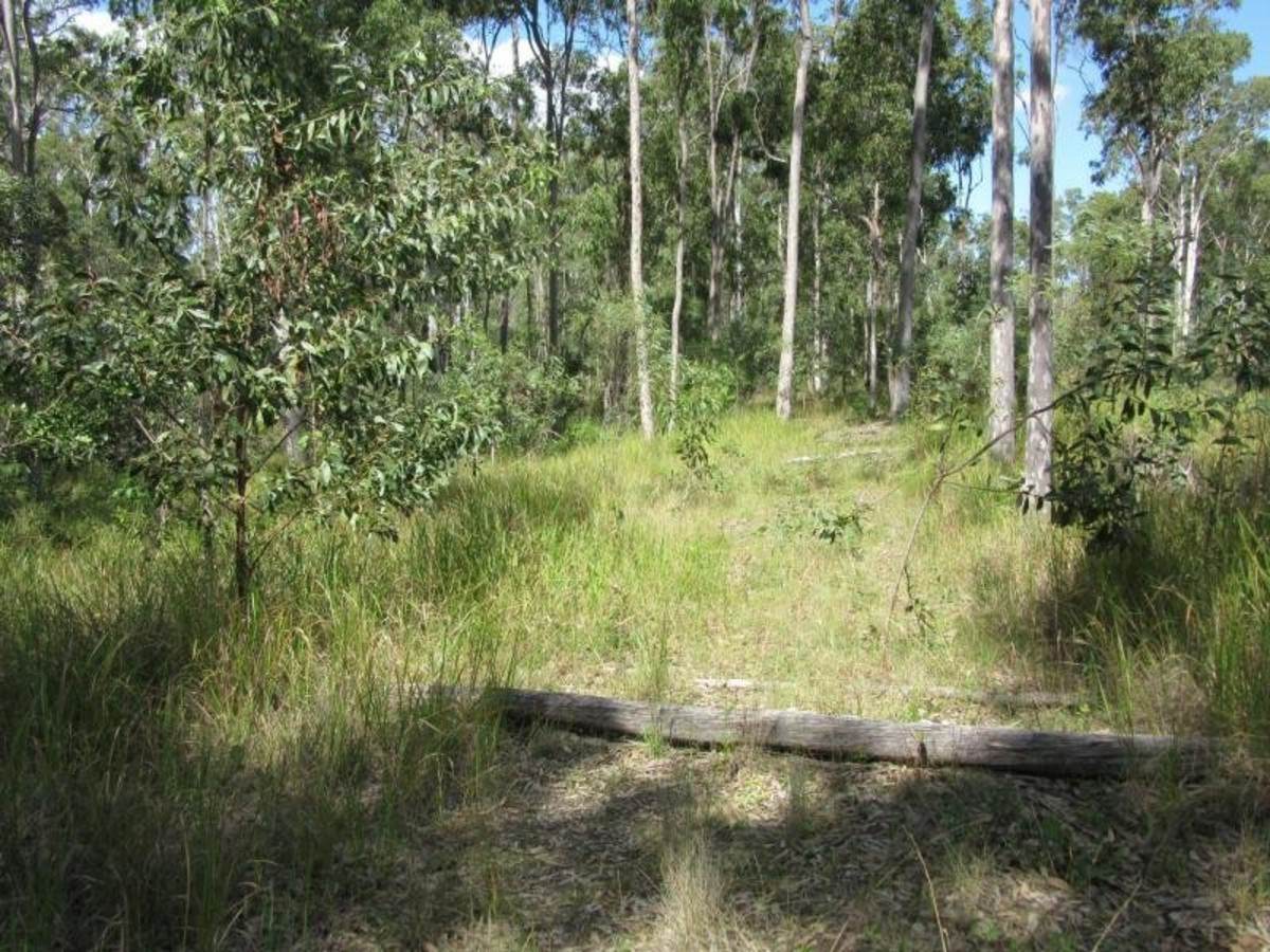91 Jenny Lind Lane, Tabulam For Sale by Farmbuy.com - image 20