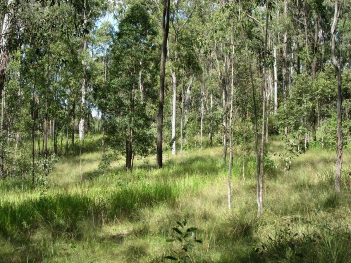91 Jenny Lind Lane, Tabulam For Sale by Farmbuy.com - image 13