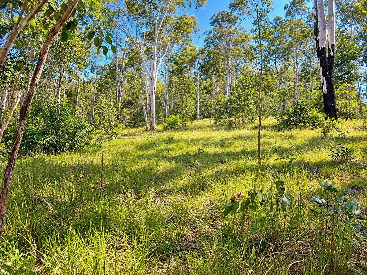 91 Jenny Lind Lane, Tabulam For Sale by Farmbuy.com - image 17