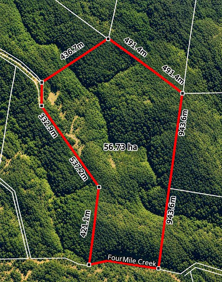 91 Jenny Lind Lane, Tabulam For Sale by Farmbuy.com - image 6