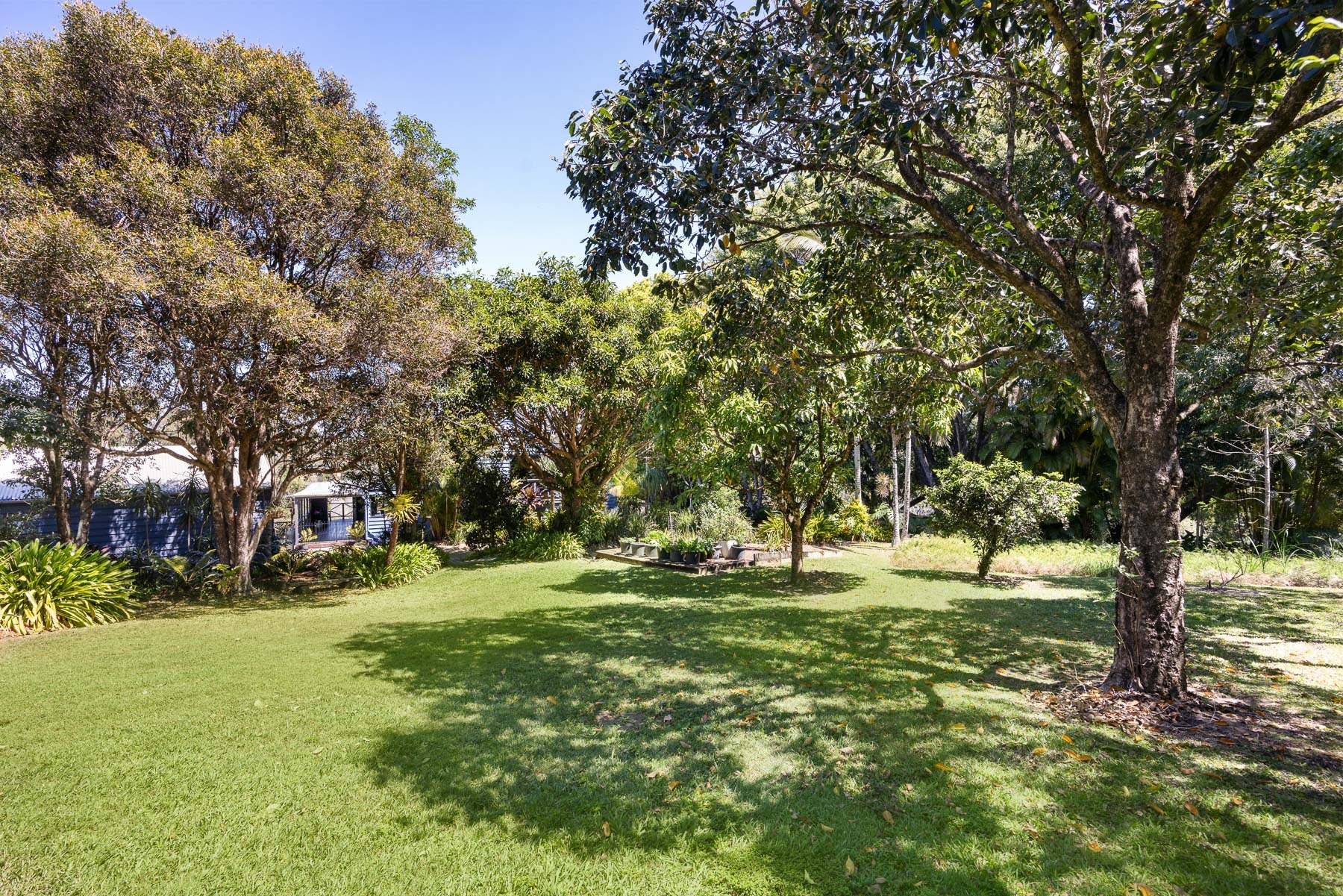 71 Blanckensee Road, Black Mountain For Sale by Farmbuy.com - image 17