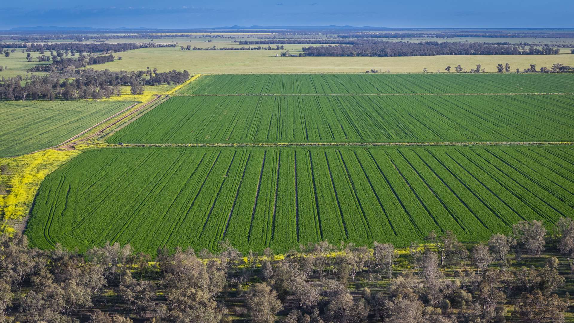 Mid Western HWY Via, Forbes Auction by Farmbuy.com - image 13