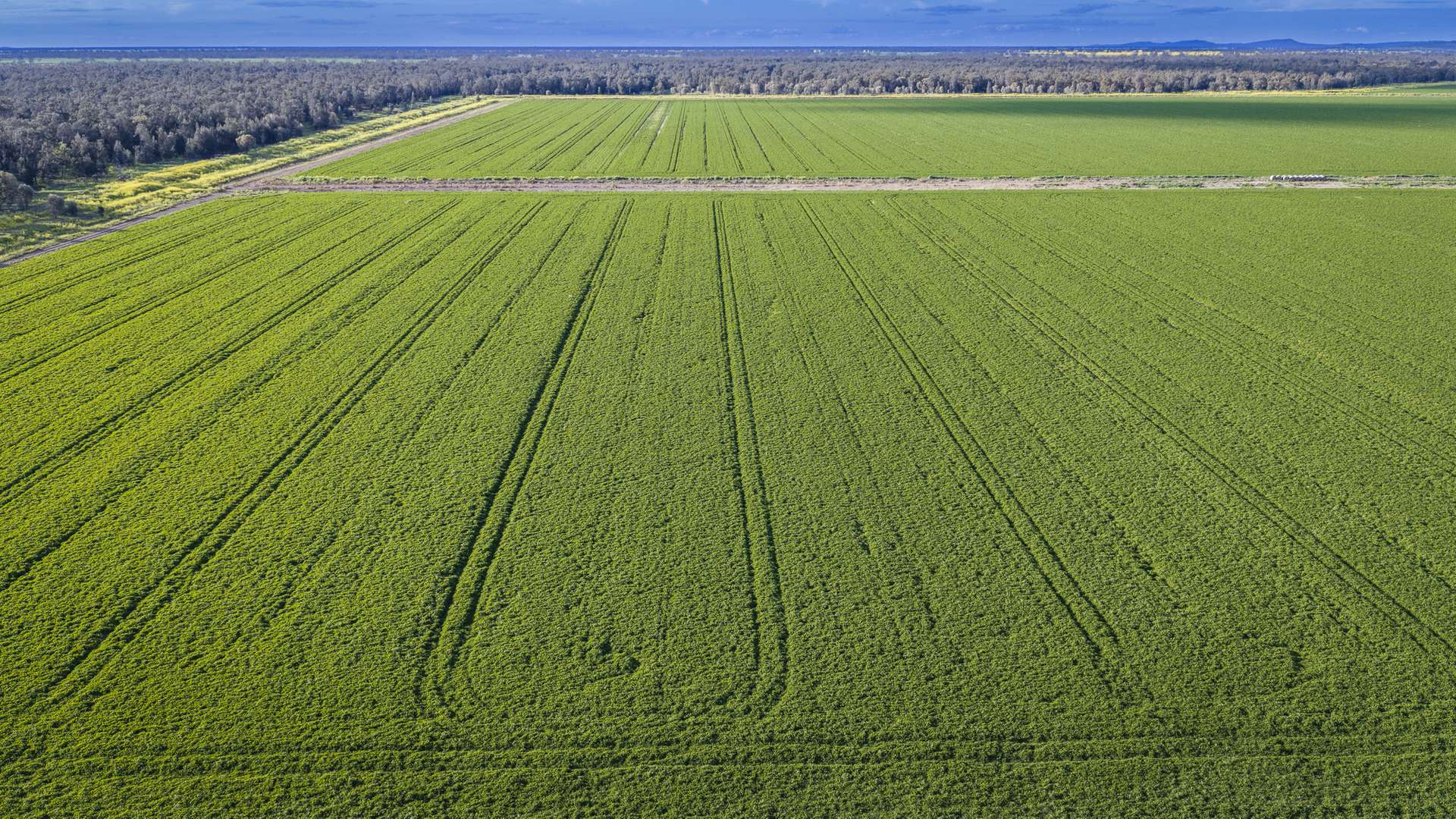 Mid Western HWY Via, Forbes Auction by Farmbuy.com - image 15