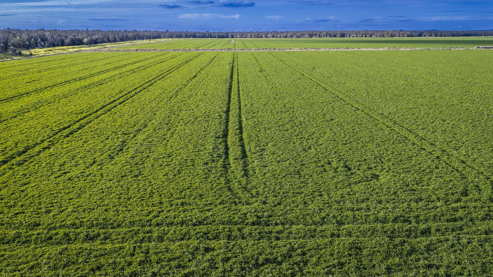 Mid Western HWY Via, Forbes Auction by Farmbuy.com - image 14