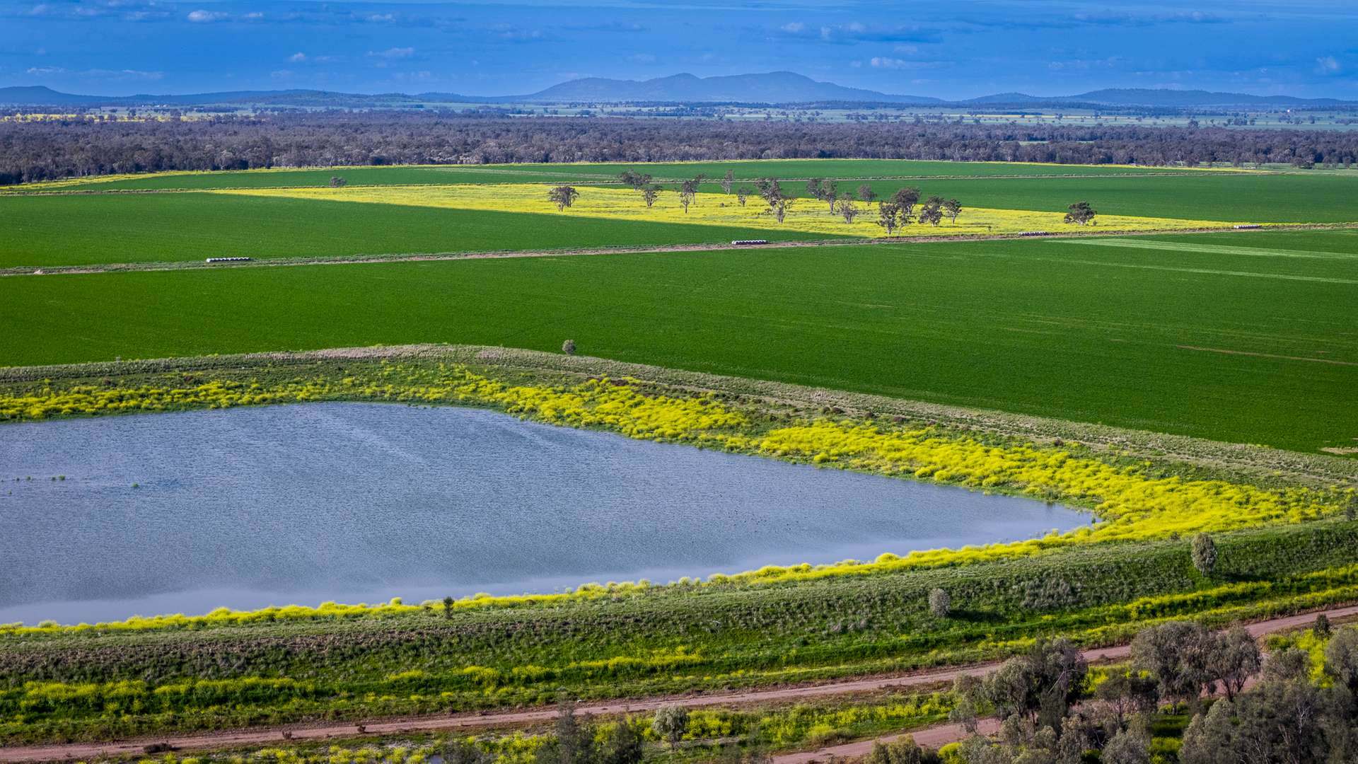 Mid Western HWY Via, Forbes Auction by Farmbuy.com - image 1