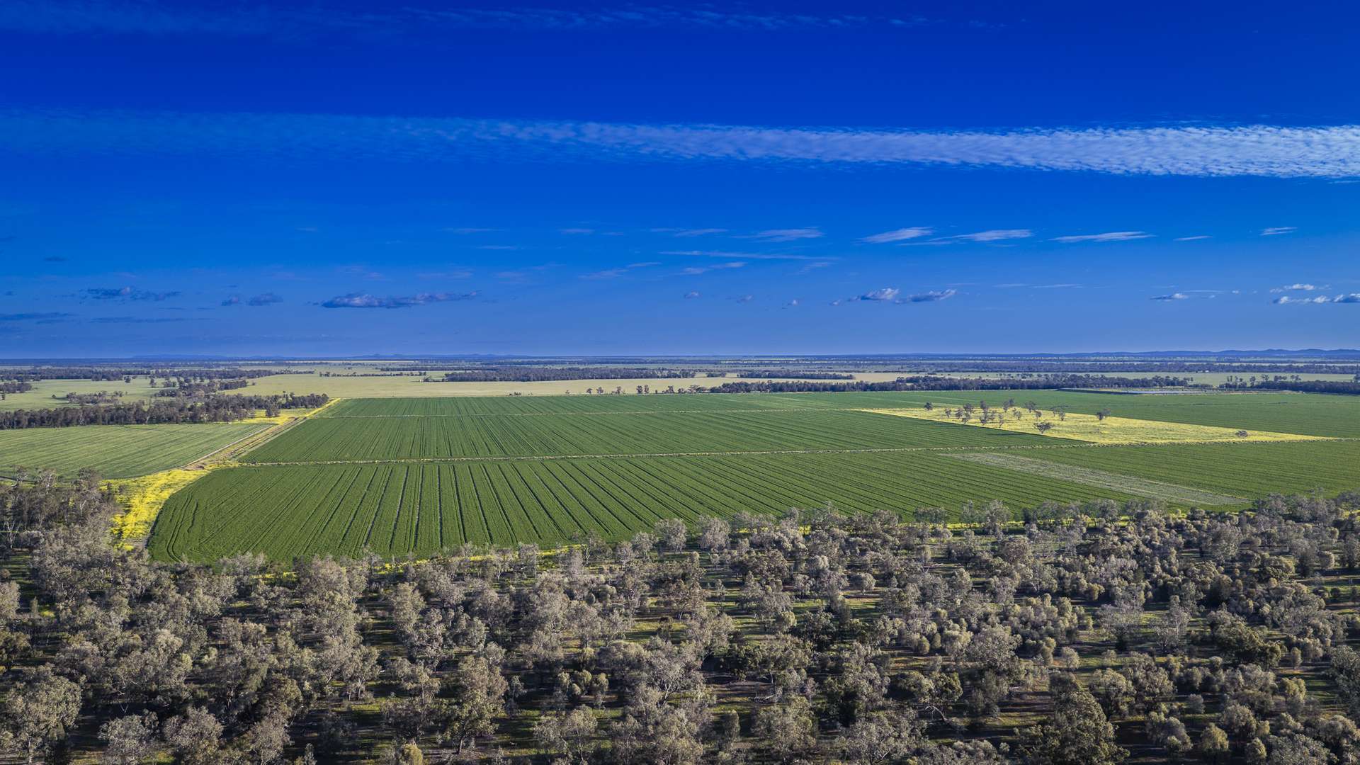 Mid Western HWY Via, Forbes Auction by Farmbuy.com - image 4
