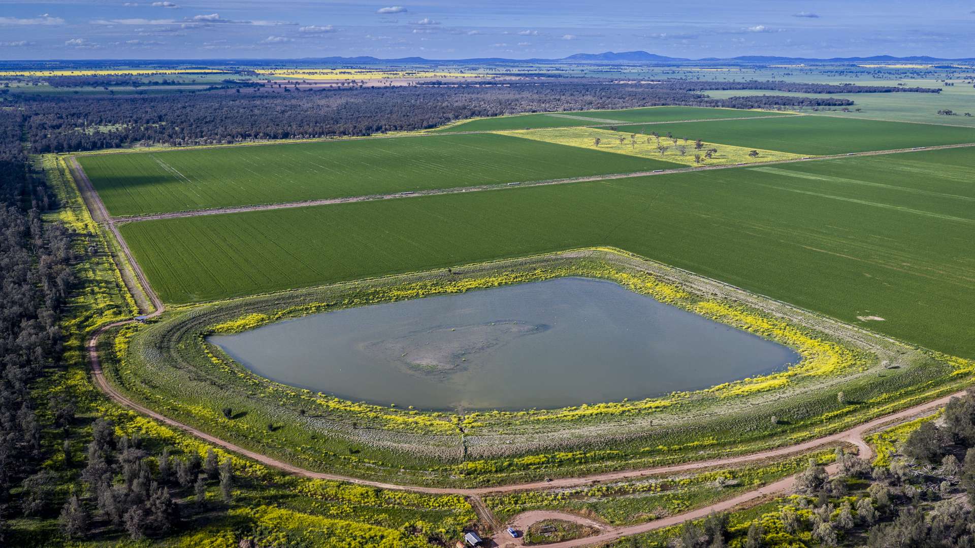 Mid Western HWY Via, Forbes Auction by Farmbuy.com - image 3