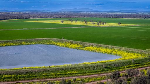 Mid Western HWY Via, Forbes NSW 2871