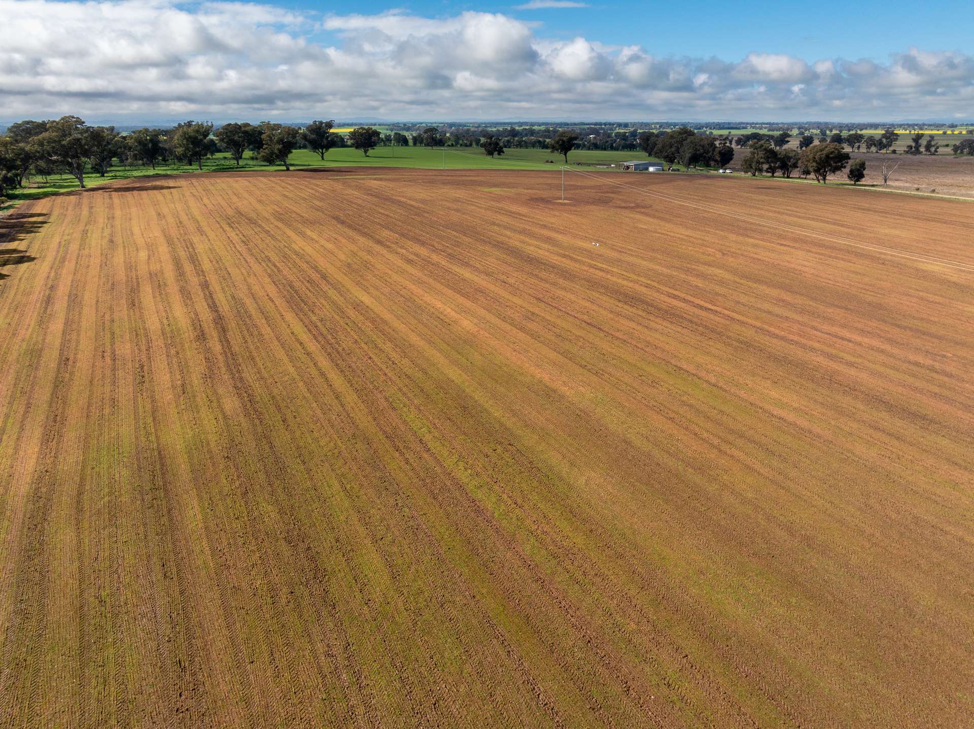 Lot 1 Sheep Station Road, Cowra For Sale by Farmbuy.com - image 6