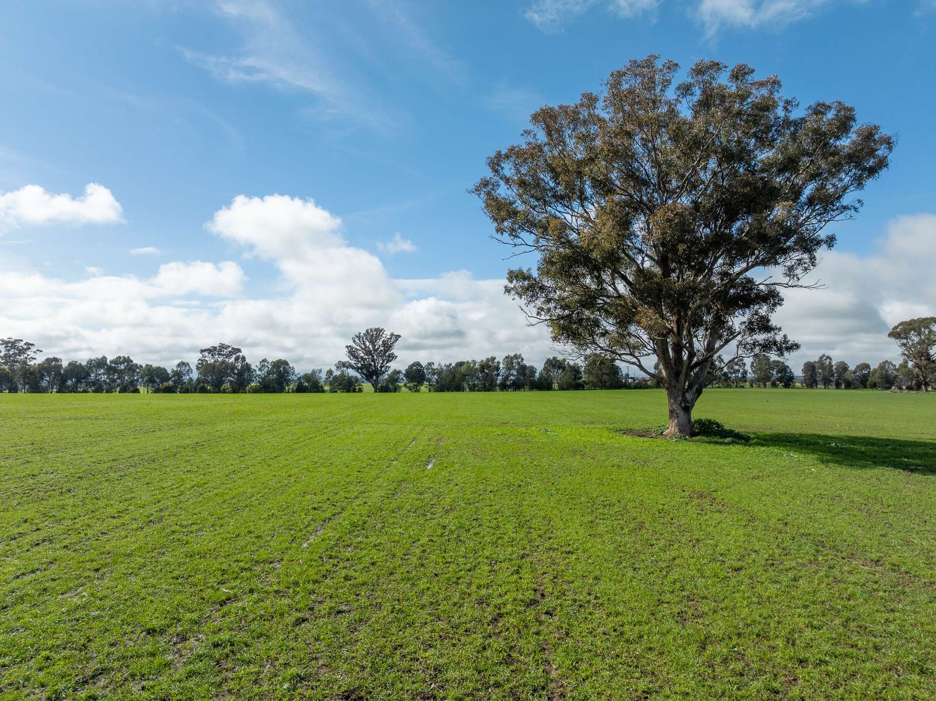 Lot 1 Sheep Station Road, Cowra For Sale by Farmbuy.com - image 1