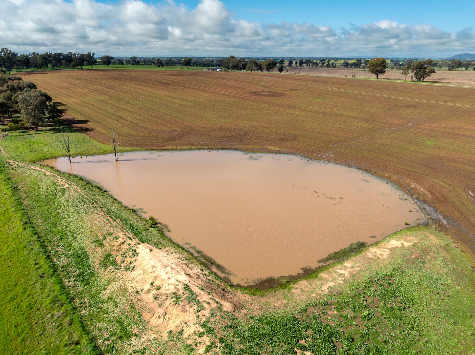 Lot 1 Sheep Station Road, Cowra For Sale by Farmbuy.com - image 5