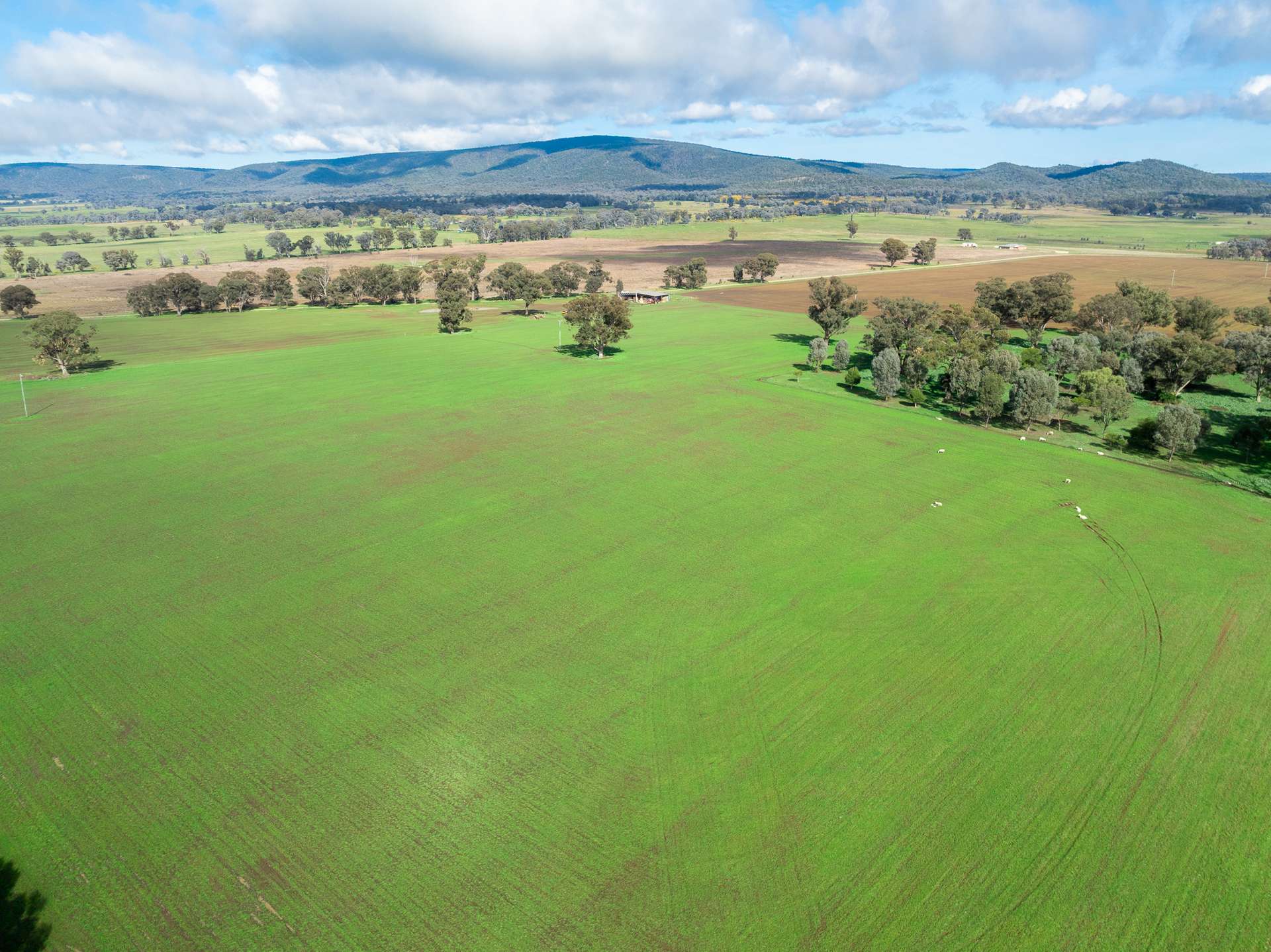 Lot 1 Sheep Station Road, Cowra For Sale by Farmbuy.com - image 7
