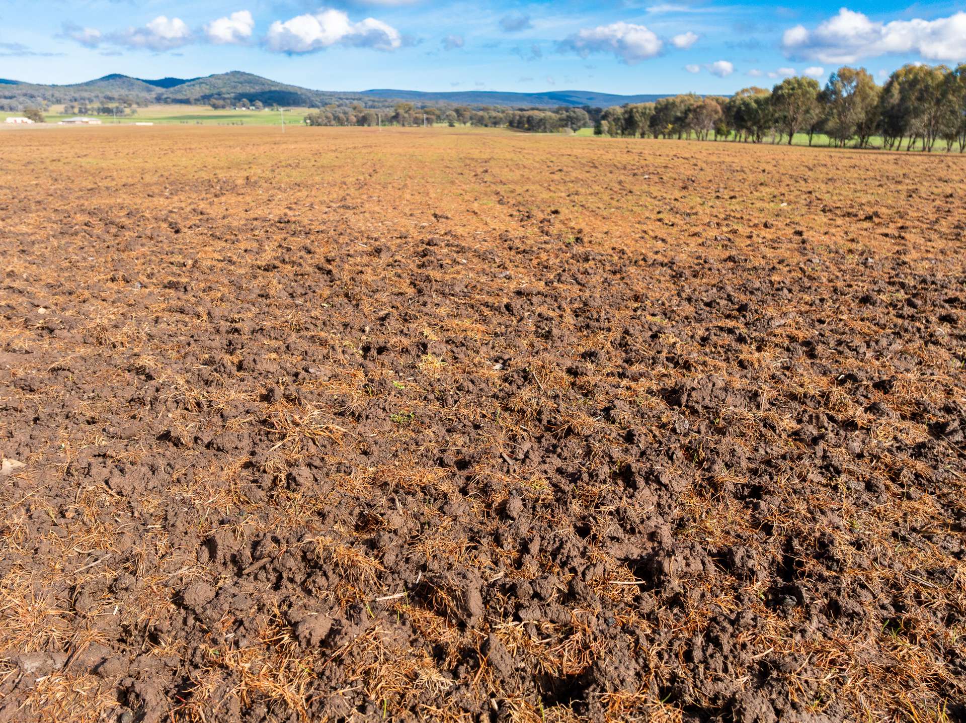 Lot 1 Sheep Station Road, Cowra For Sale by Farmbuy.com - image 3