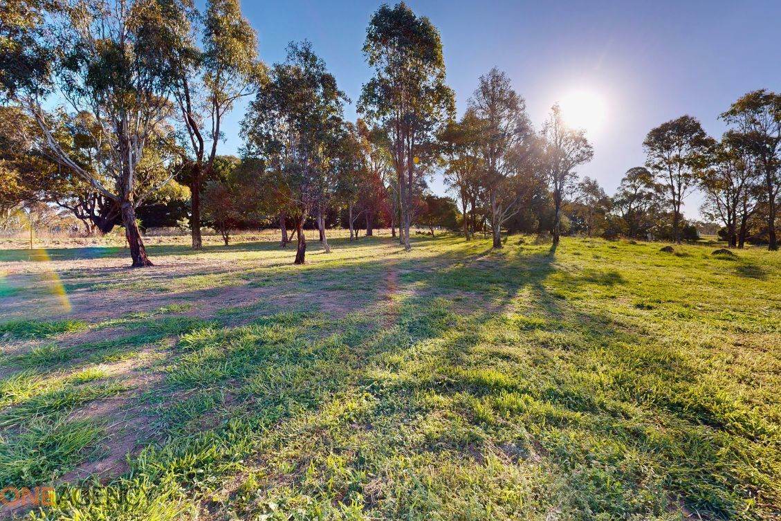 Clover Ridge Road, Millthorpe For Sale by Farmbuy.com - image 4