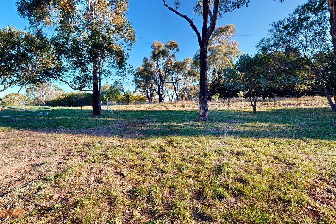 Clover Ridge Road, Millthorpe For Sale by Farmbuy.com - image 6