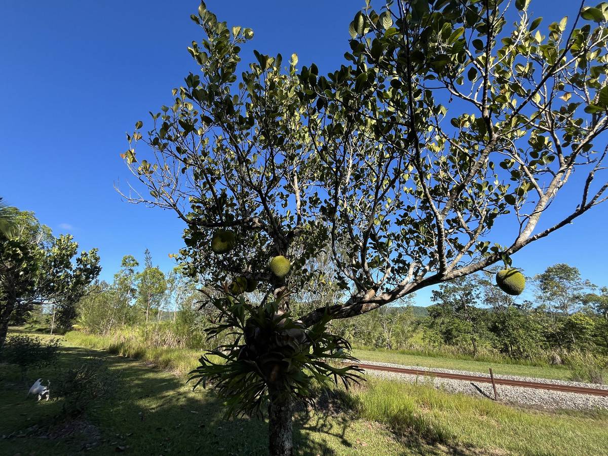 5 Dobbin Road, Warrubullen For Sale by Farmbuy.com - image 2