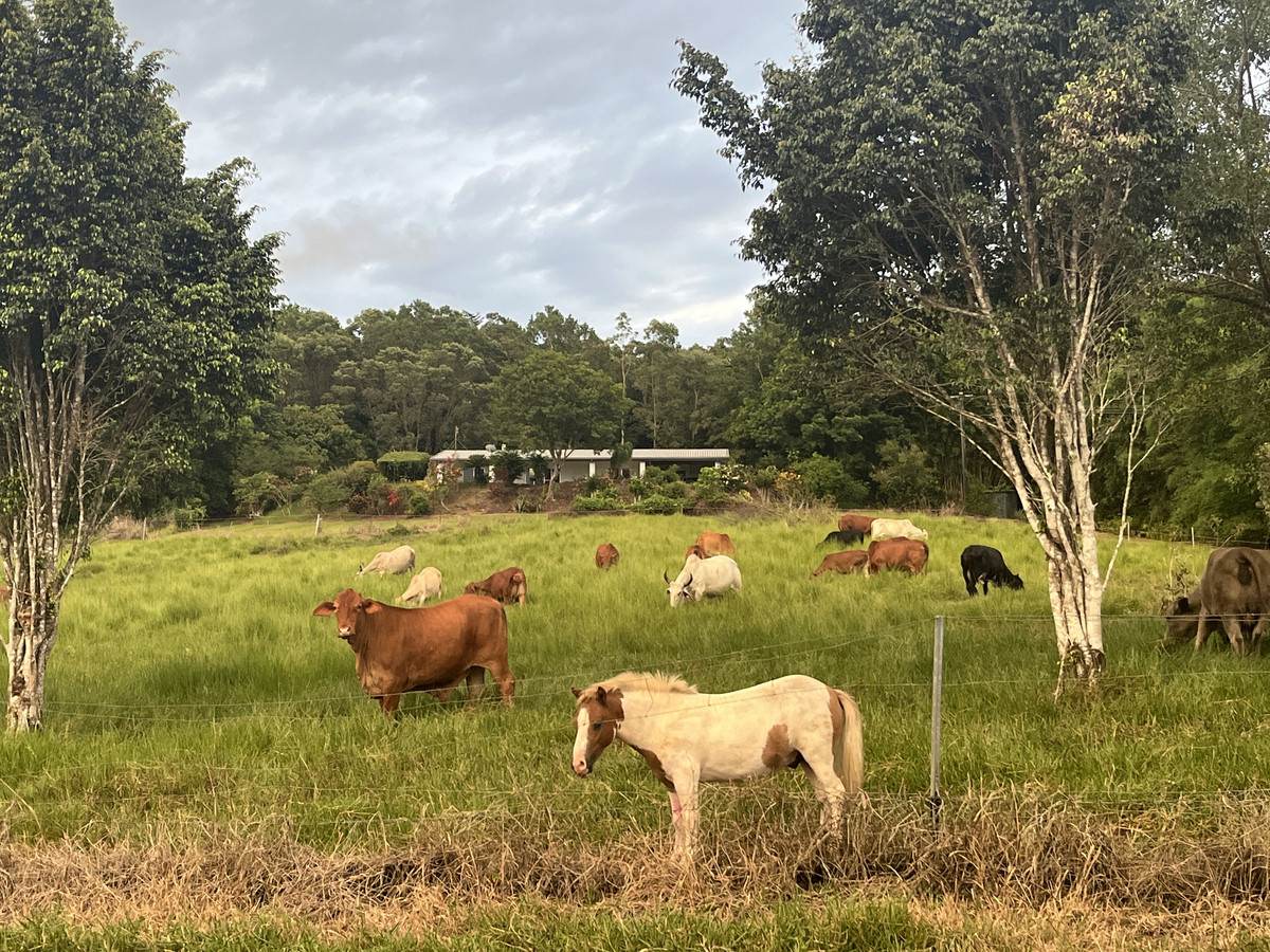 5 Dobbin Road, Warrubullen For Sale by Farmbuy.com - image 6
