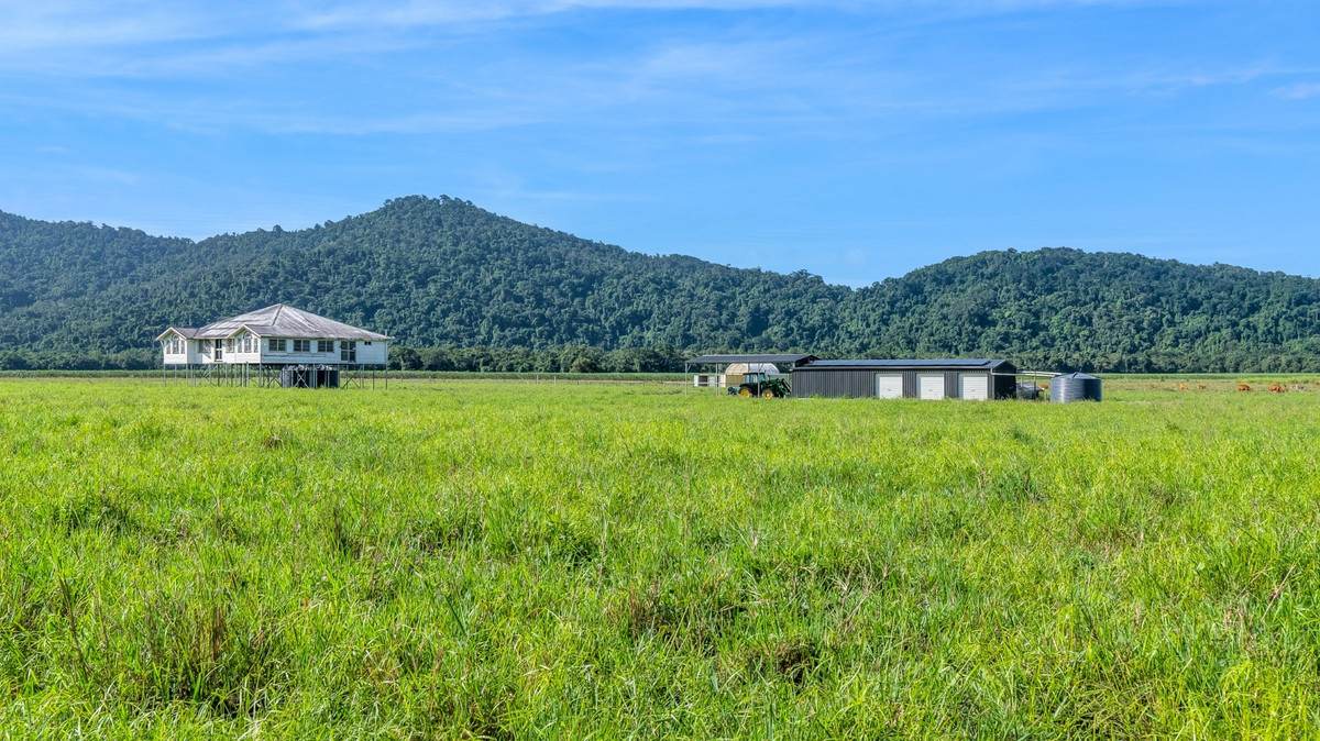 21 Barbagallo Road, Aloomba For Sale by Farmbuy.com - image 24