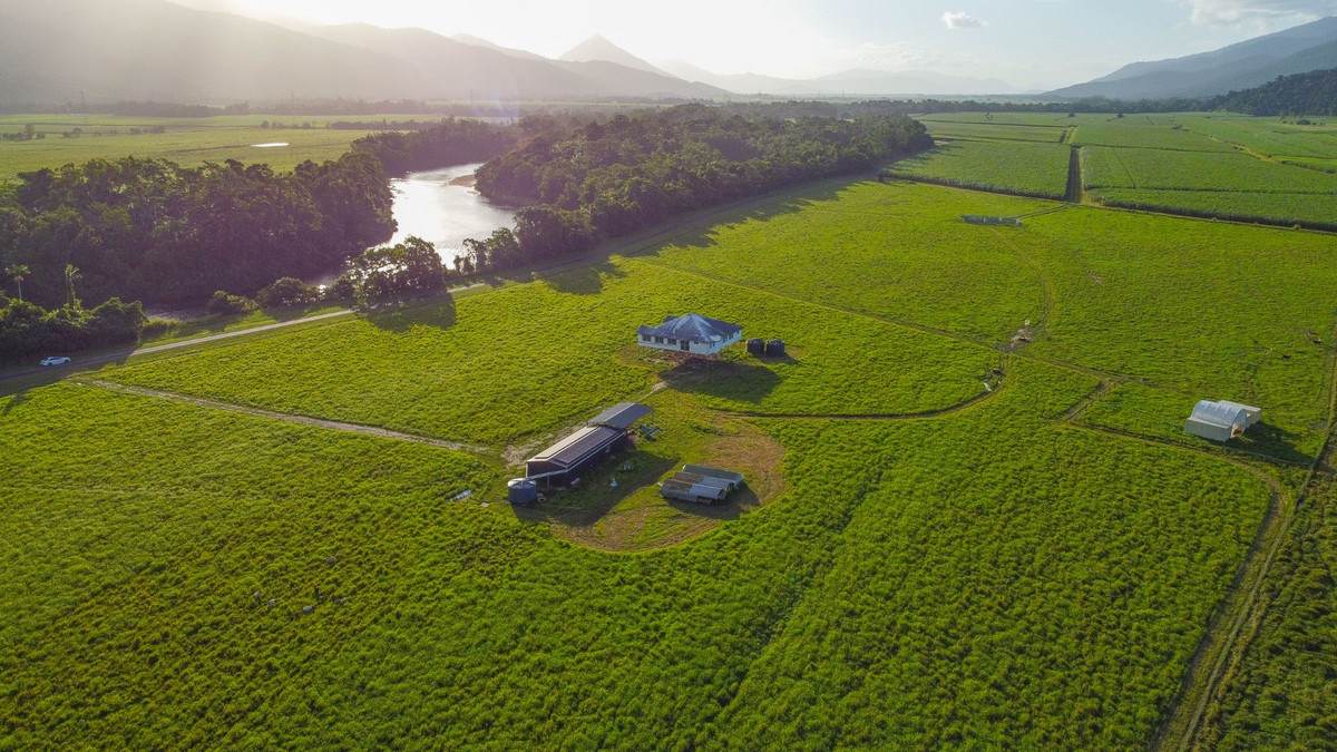 21 Barbagallo Road, Aloomba For Sale by Farmbuy.com - image 6