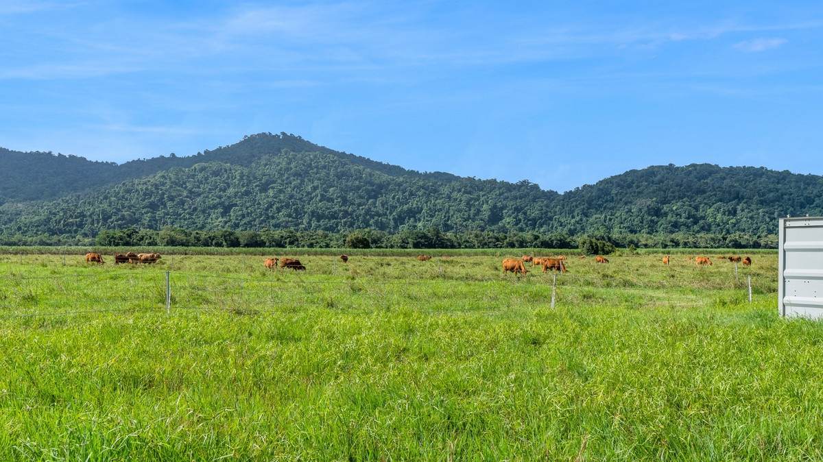 21 Barbagallo Road, Aloomba For Sale by Farmbuy.com - image 19