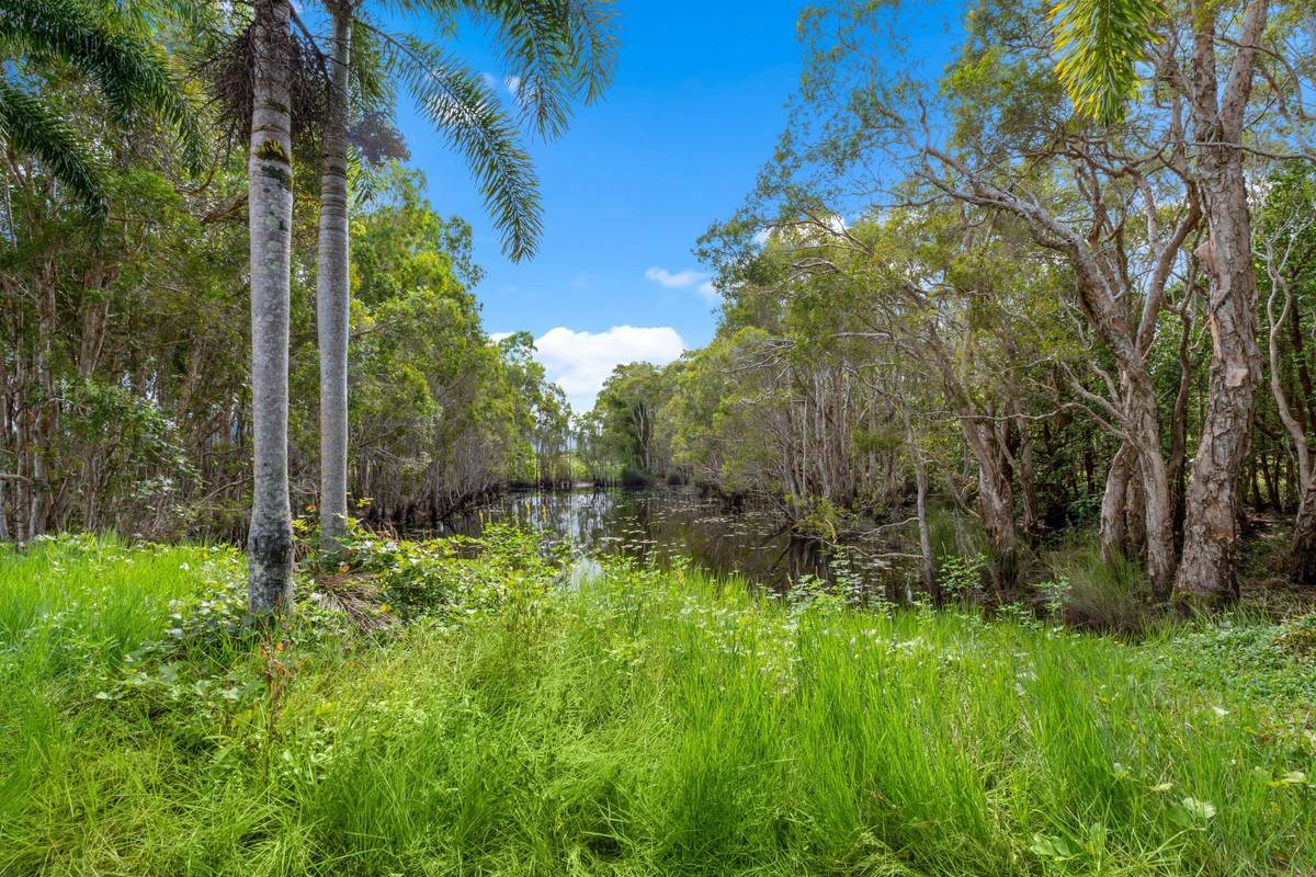 1601 Bramston Beach Road, Bramston Beach For Sale by Farmbuy.com - image 18