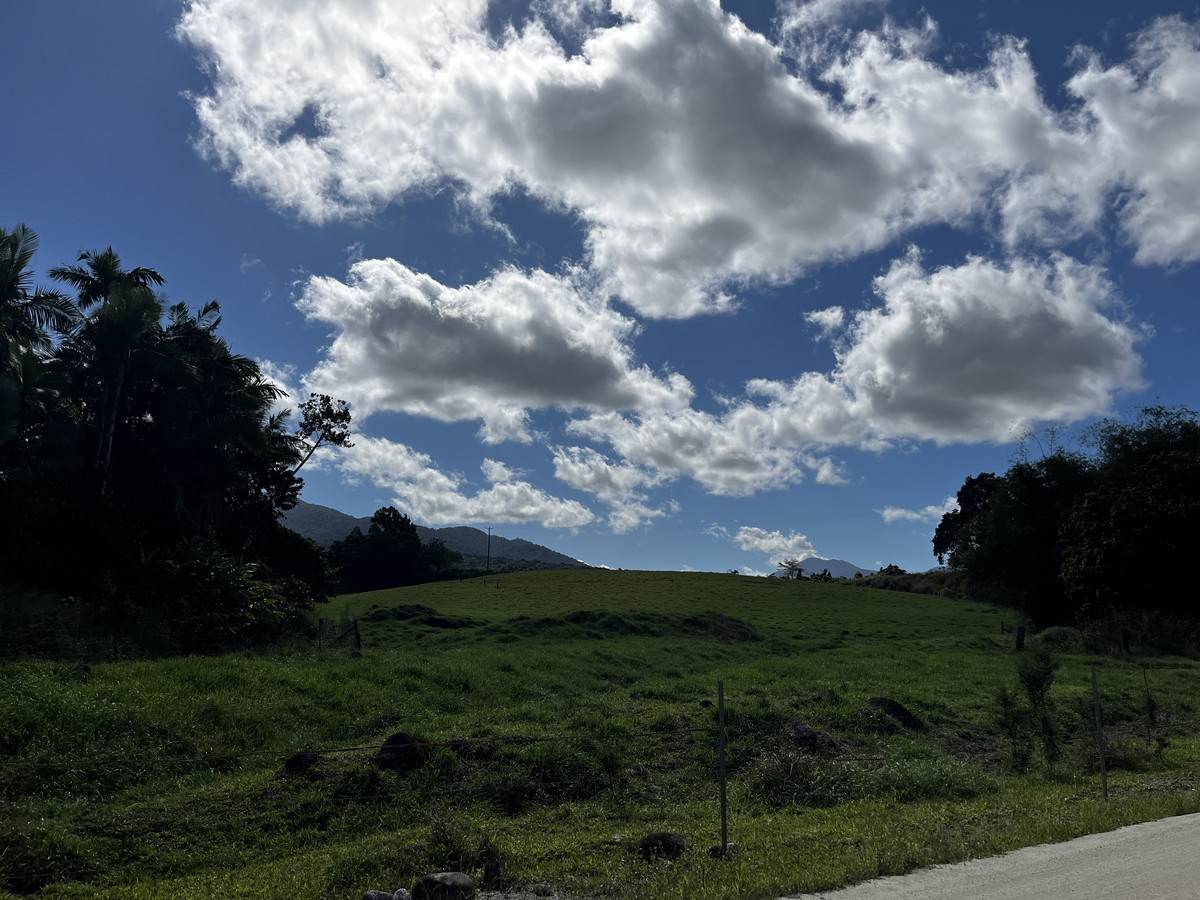 LOT 2 GREER Road, Mirriwinni For Sale by Farmbuy.com - image 5