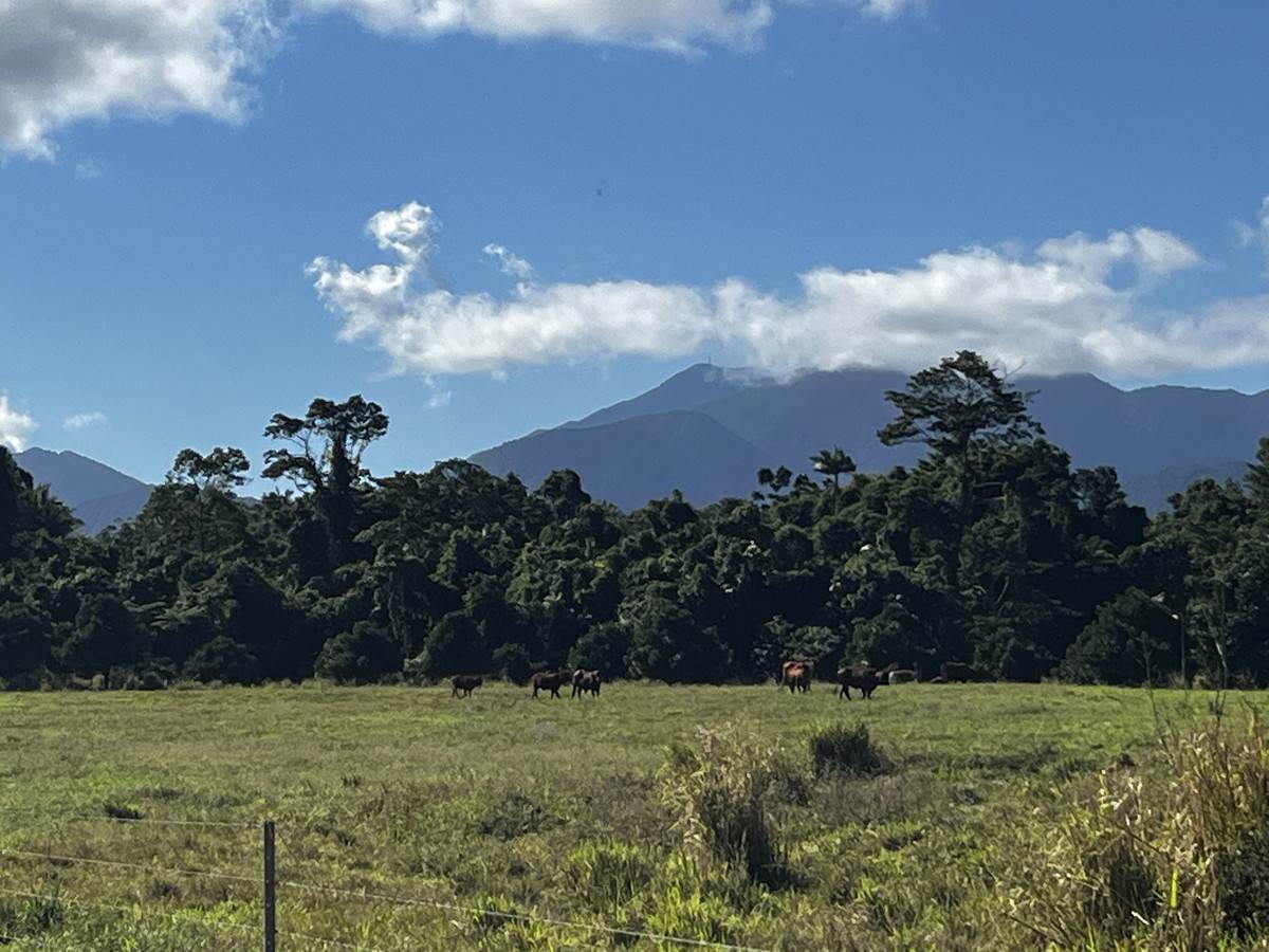 LOT 2 GREER Road, Mirriwinni For Sale by Farmbuy.com - image 32