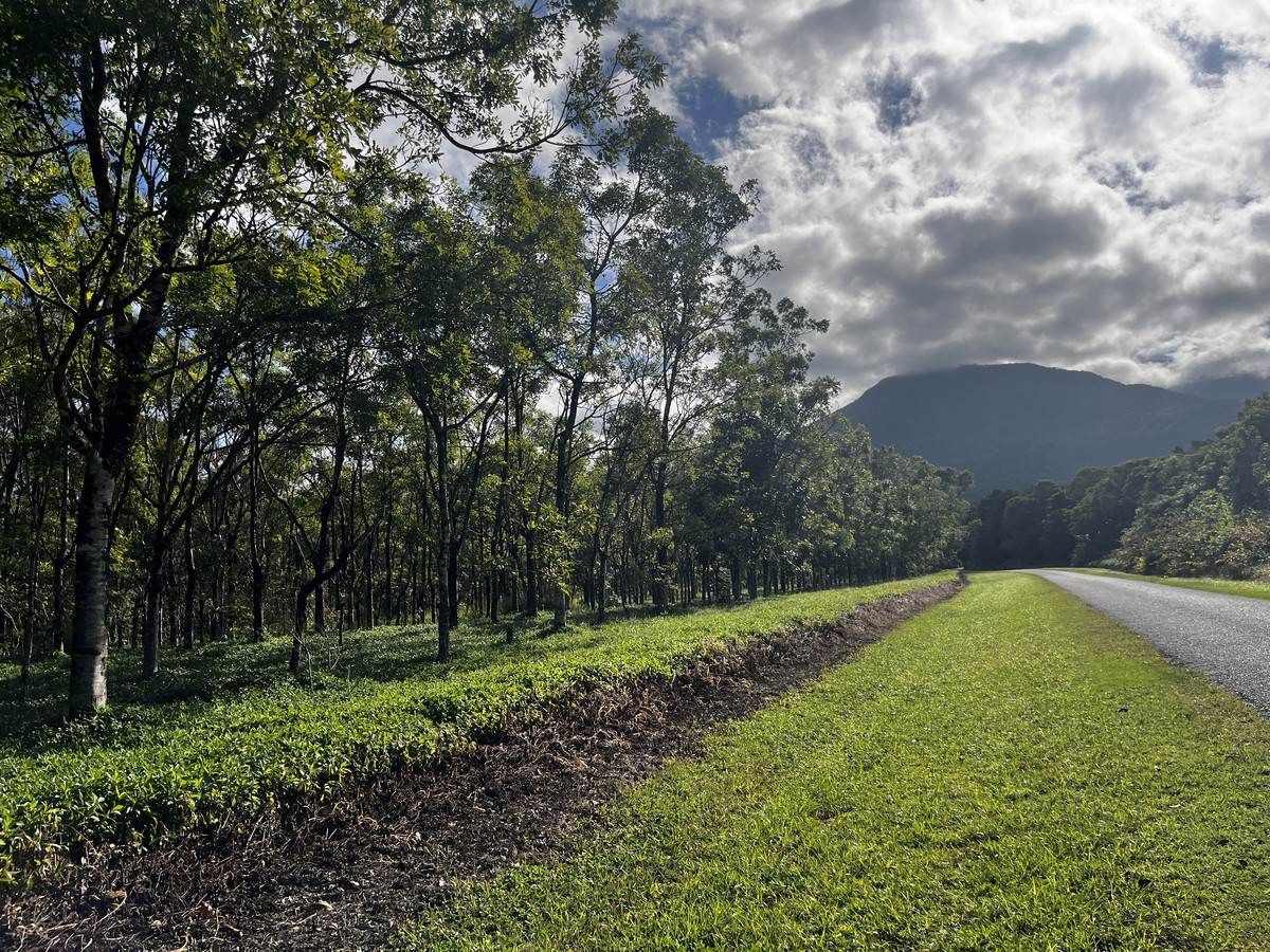 LOT 2 GREER Road, Mirriwinni For Sale by Farmbuy.com - image 28