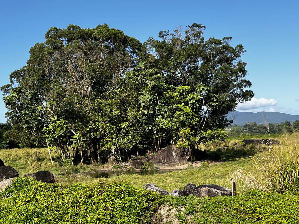 LOT 2 GREER Road, Mirriwinni For Sale by Farmbuy.com - image 26