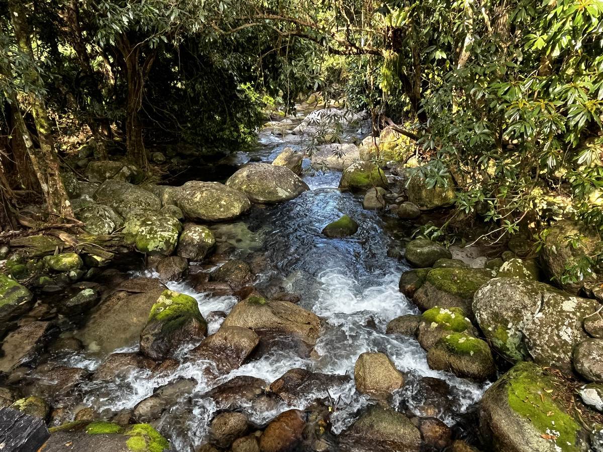 LOT 2 GREER Road, Mirriwinni For Sale by Farmbuy.com - image 23