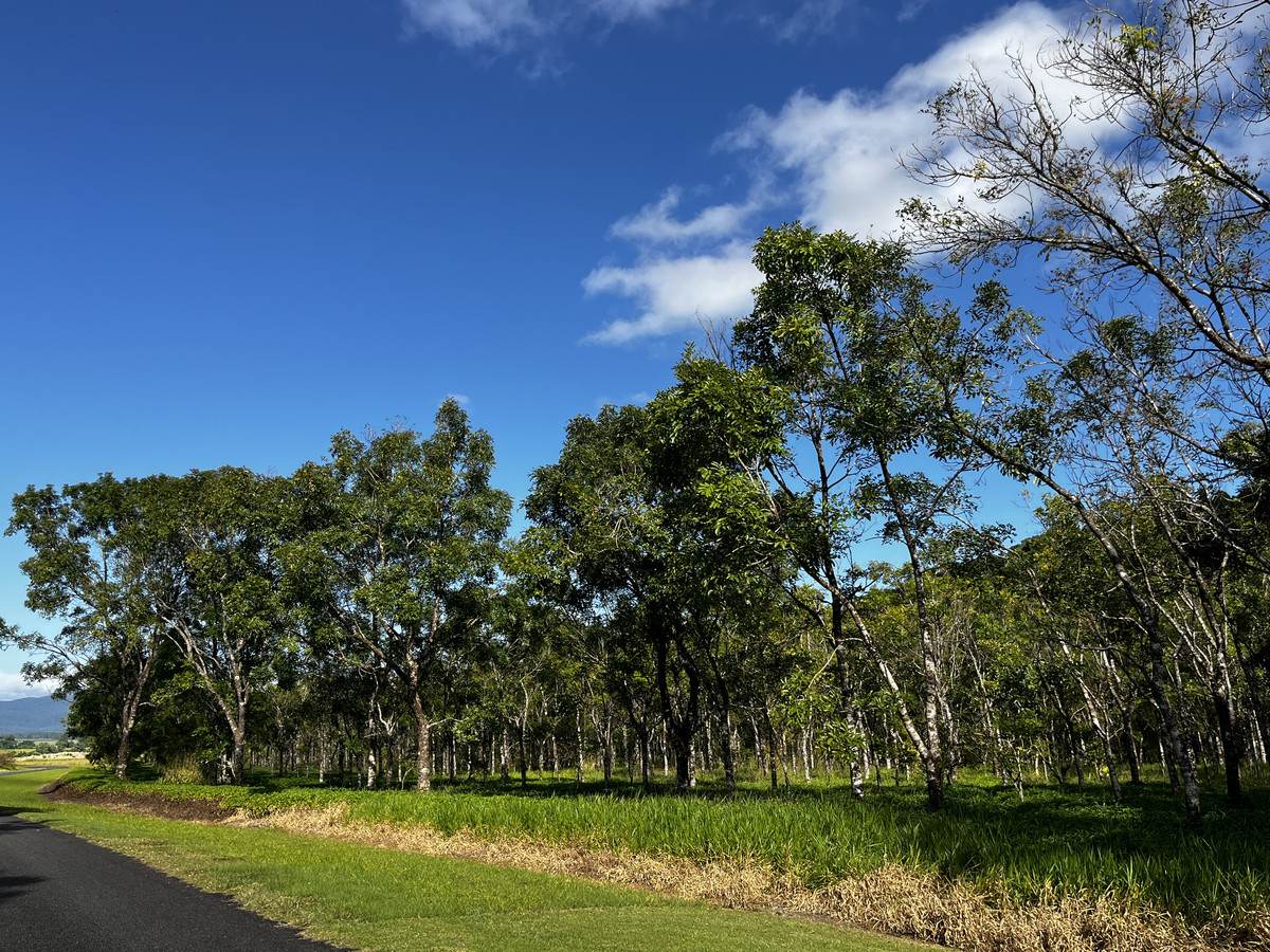 LOT 2 GREER Road, Mirriwinni For Sale by Farmbuy.com - image 27