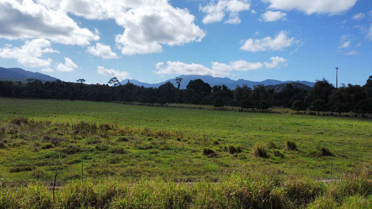 LOT 2 GREER Road, Mirriwinni For Sale by Farmbuy.com - image 4