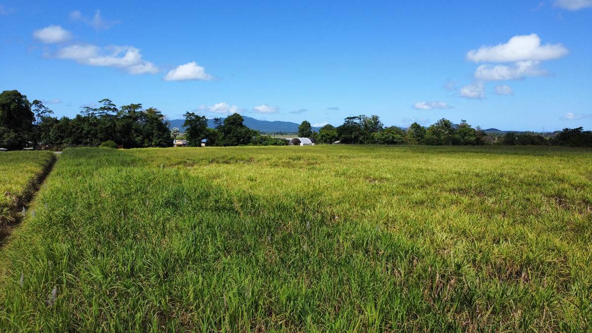 1 Greer Road, Mirriwinni For Sale by Farmbuy.com - image 5