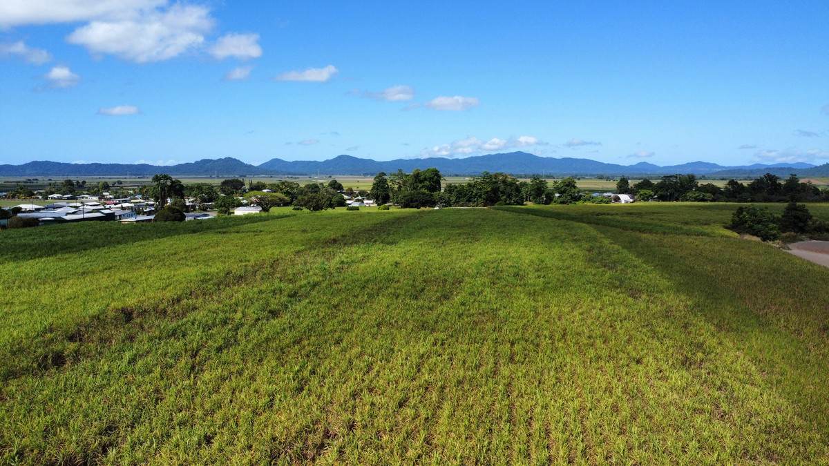 1 Greer Road, Mirriwinni For Sale by Farmbuy.com - image 3