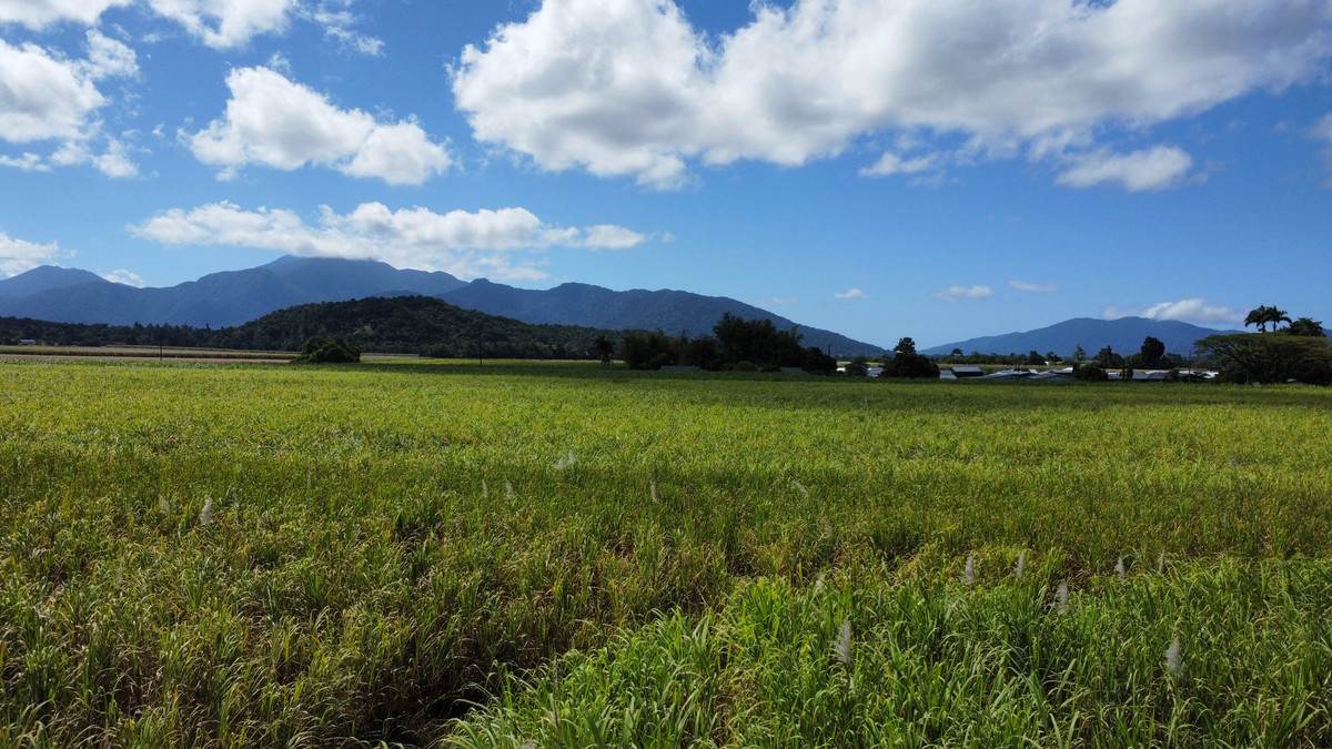 1 Greer Road, Mirriwinni For Sale by Farmbuy.com - image 2