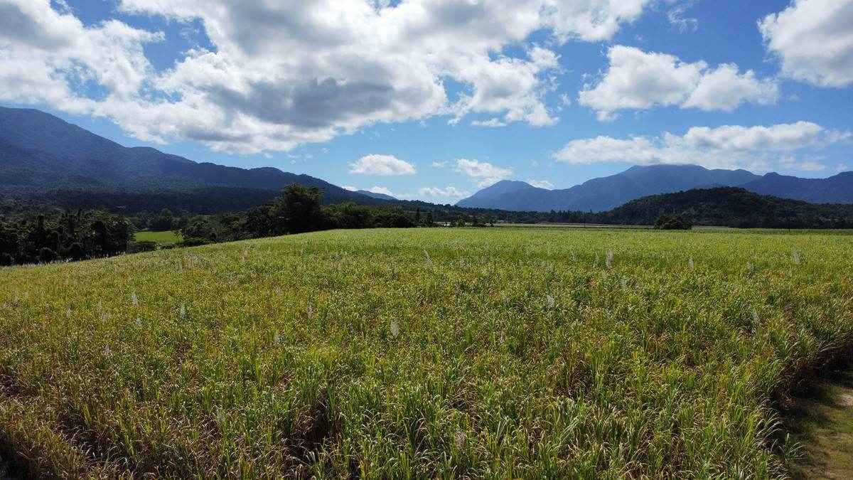 1 Greer Road, Mirriwinni For Sale by Farmbuy.com - image 9