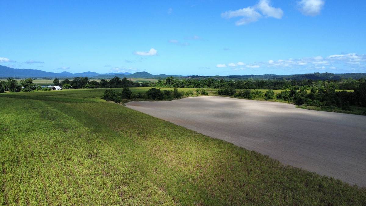 1 Greer Road, Mirriwinni For Sale by Farmbuy.com - image 14