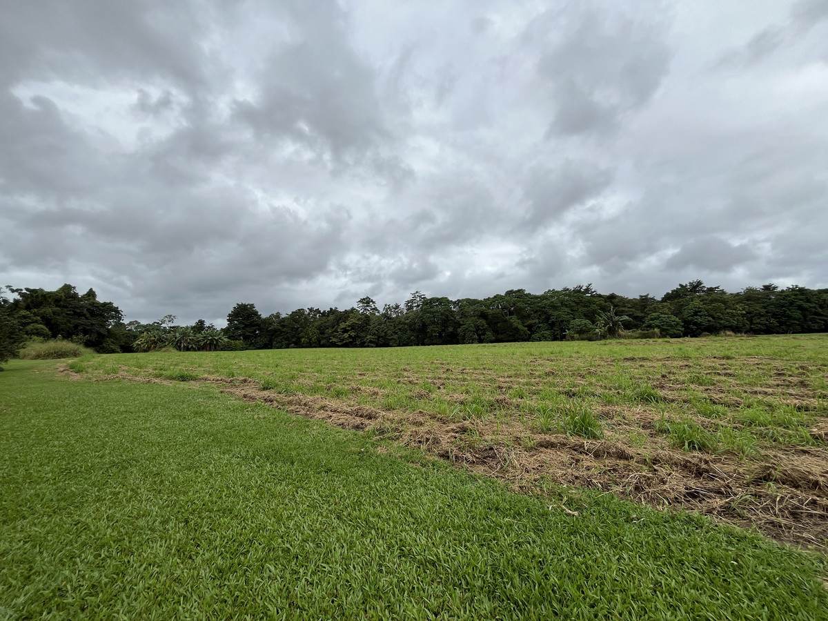 253-267 Boulders Road, Babinda For Sale by Farmbuy.com - image 8