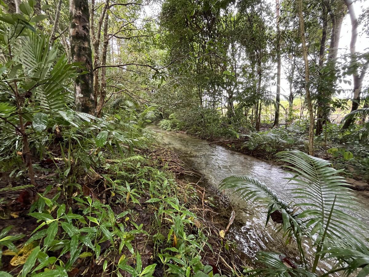 253-267 Boulders Road, Babinda For Sale by Farmbuy.com - image 25