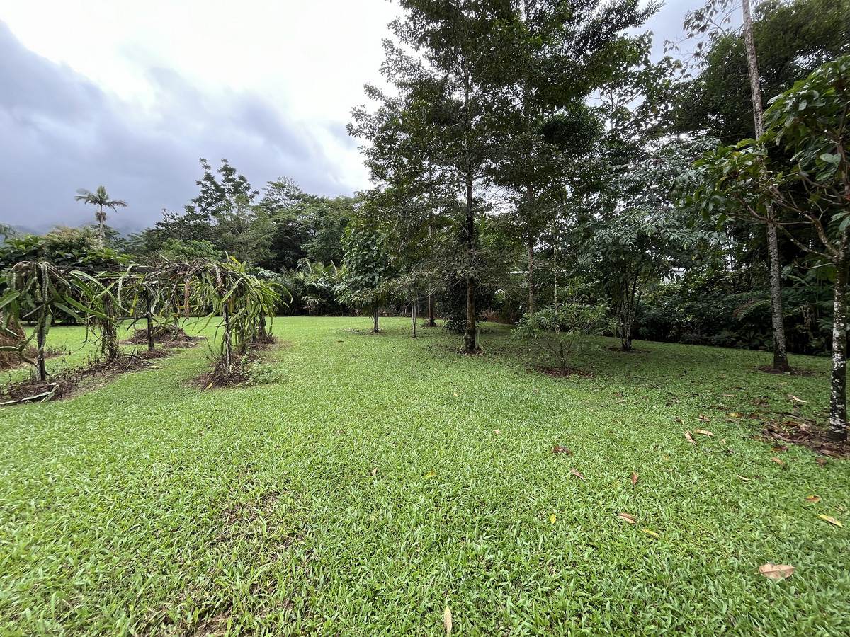 253-267 Boulders Road, Babinda For Sale by Farmbuy.com - image 31