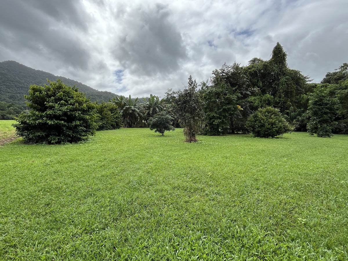 253-267 Boulders Road, Babinda For Sale by Farmbuy.com - image 2