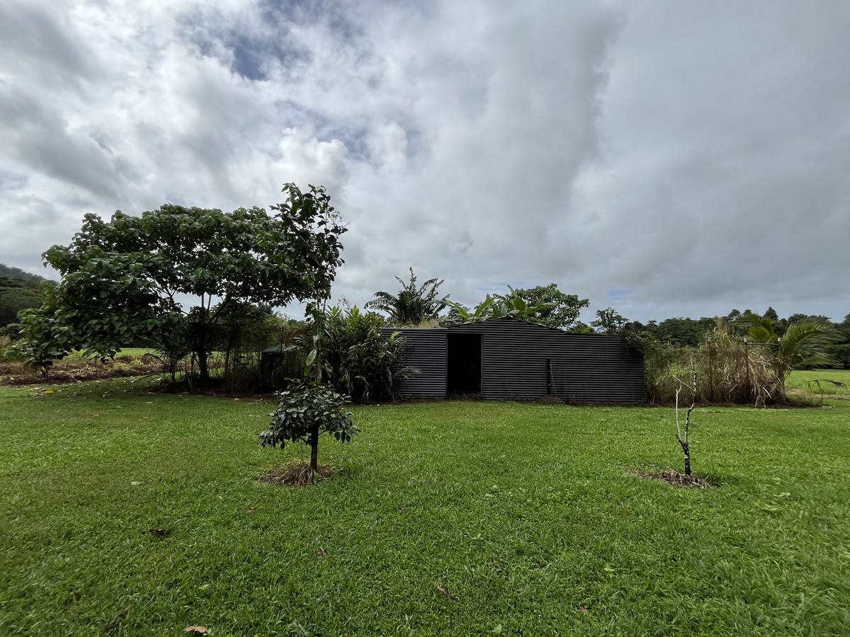 253-267 Boulders Road, Babinda For Sale by Farmbuy.com - image 34