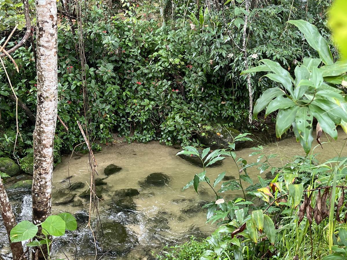 253-267 Boulders Road, Babinda For Sale by Farmbuy.com - image 29
