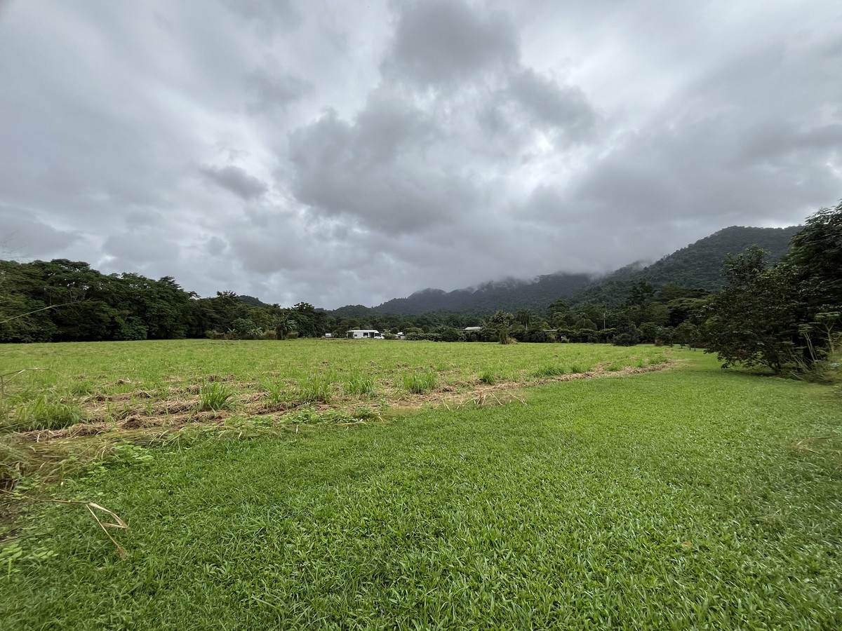 253-267 Boulders Road, Babinda For Sale by Farmbuy.com - image 3
