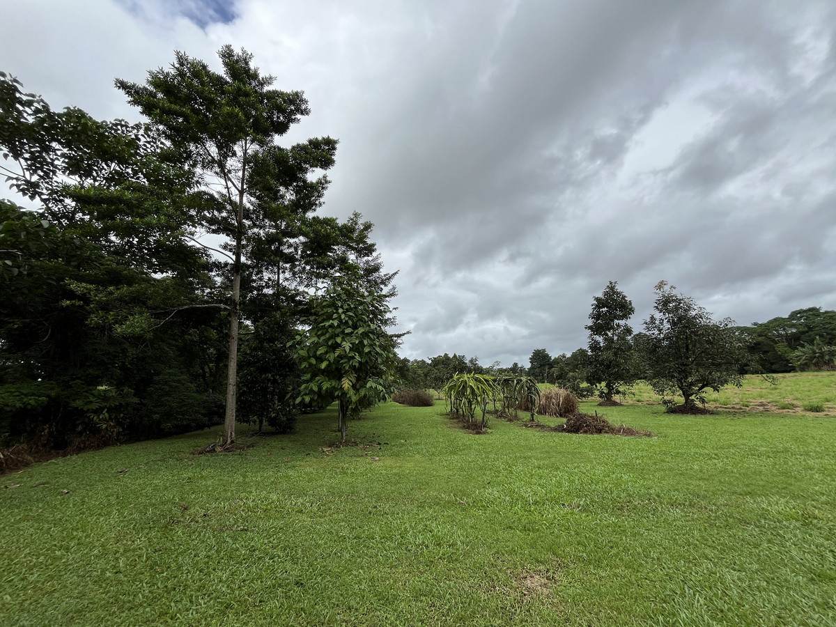 253-267 Boulders Road, Babinda For Sale by Farmbuy.com - image 32