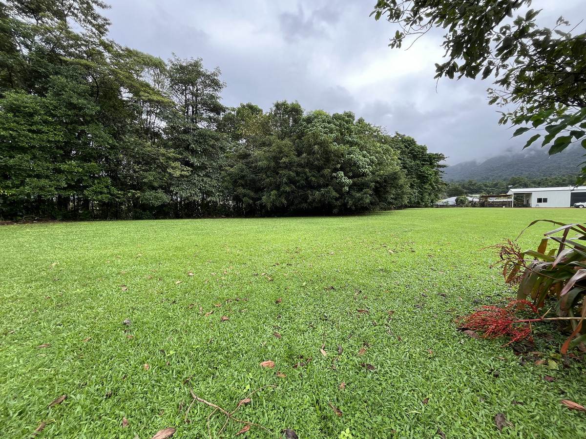 253-267 Boulders Road, Babinda For Sale by Farmbuy.com - image 6