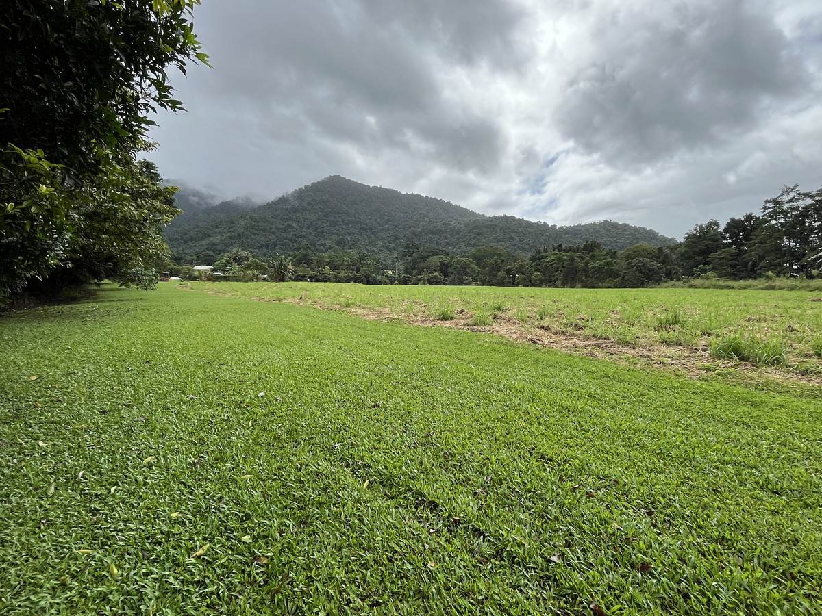 253-267 Boulders Road, Babinda For Sale by Farmbuy.com - image 4