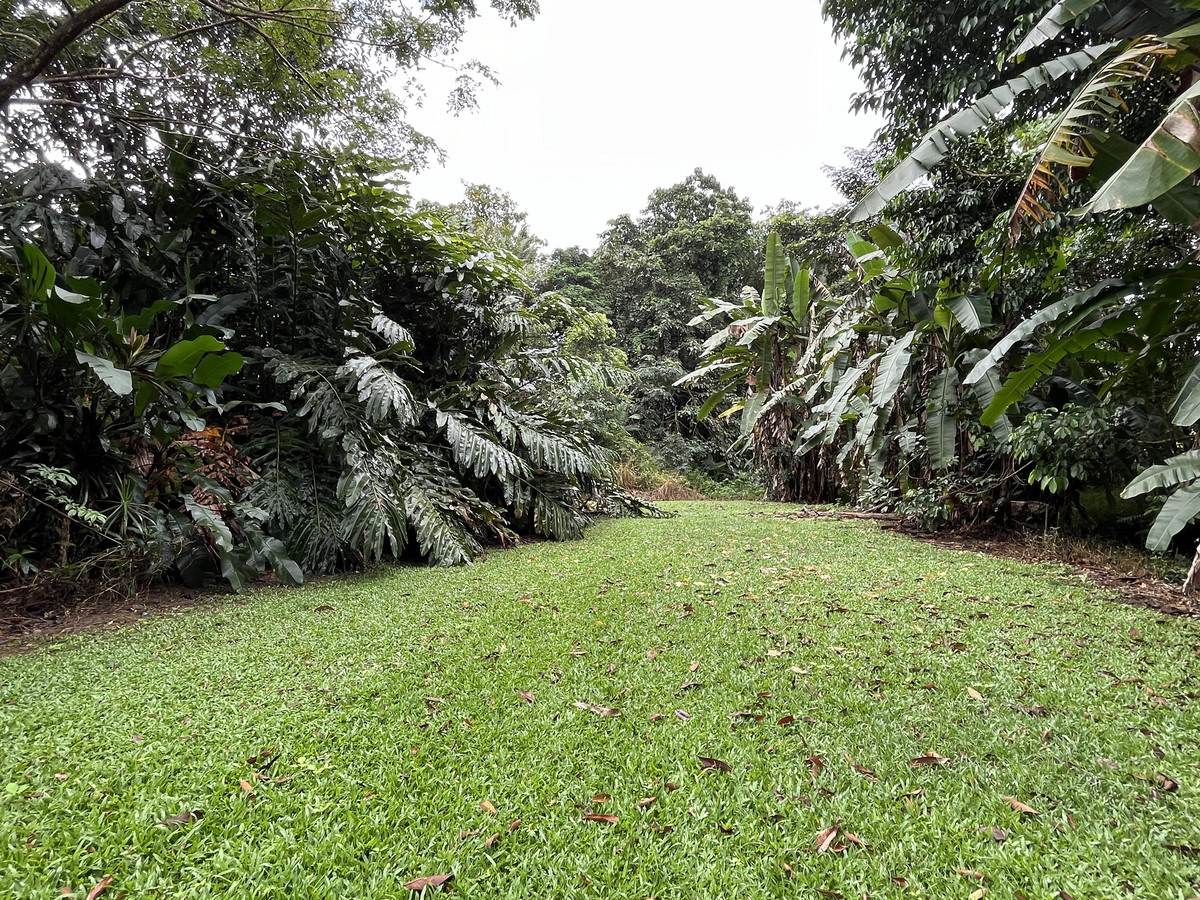 253-267 Boulders Road, Babinda For Sale by Farmbuy.com - image 26